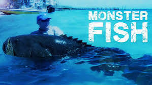 download - 2025-03-24T122233.808