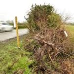Tributes paid to three teenagers – two boys and a 16-year-old girl – killed in horror head-on road smash